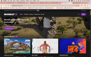 BingeBeast: The Free Movie Streaming Platform That Actually Delivers